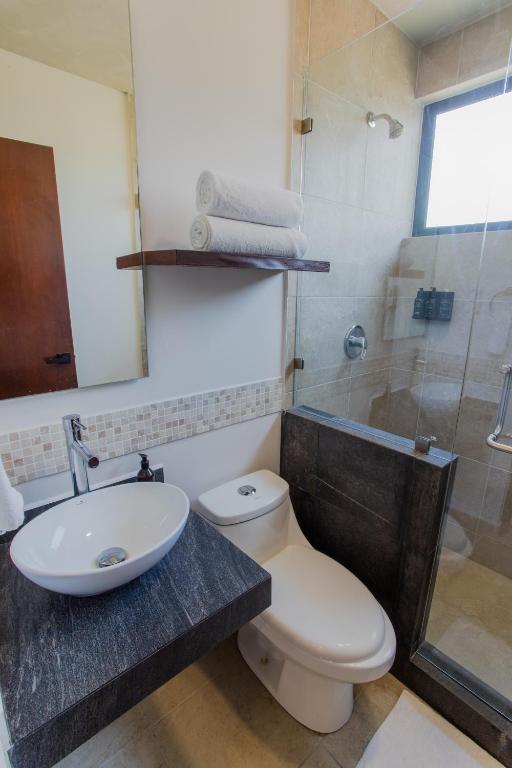 PentHouse whit Privare roof top - 3