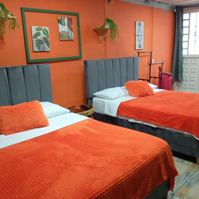 Casa Naranja Salento 2 - 5