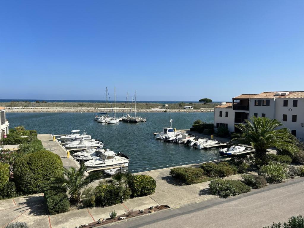 Saint-Cyprien : Studio Moderne avec Piscine et Parking - FR-1-793-13 - 1