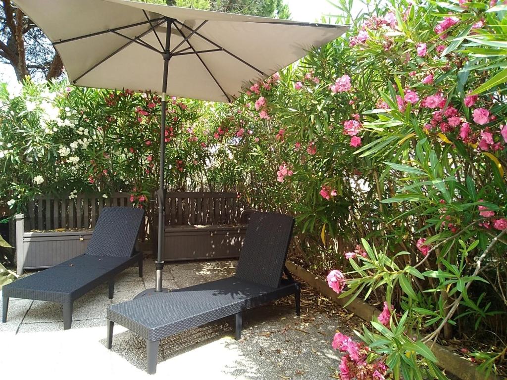 Charmant T3 climatisé avec terrasse, proche plage & parking privé - 4/6 pers, Gruissan - FR-1-796-7 - 1