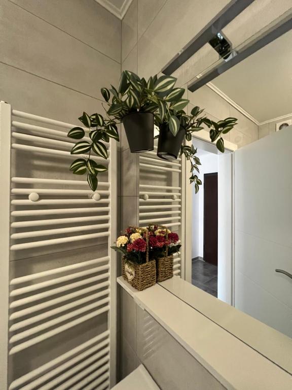 Apartman Jan - 3