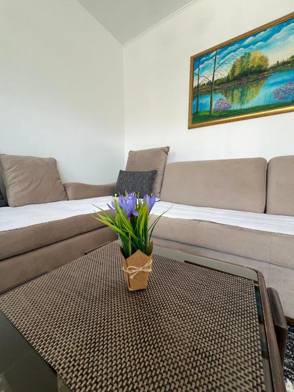 Apartman Jan, Bihać