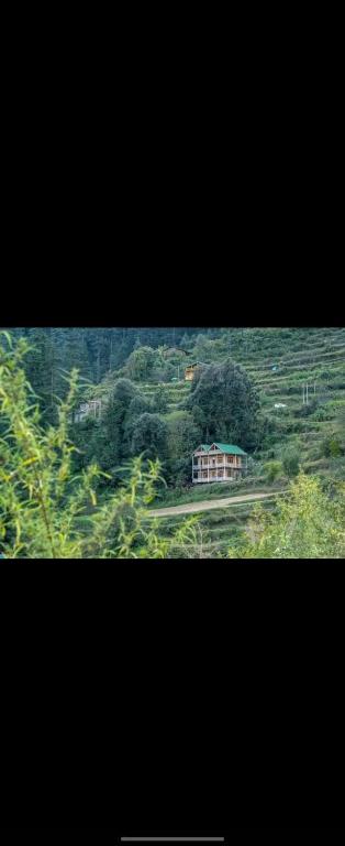 Navrasa Hill view, Jibhi