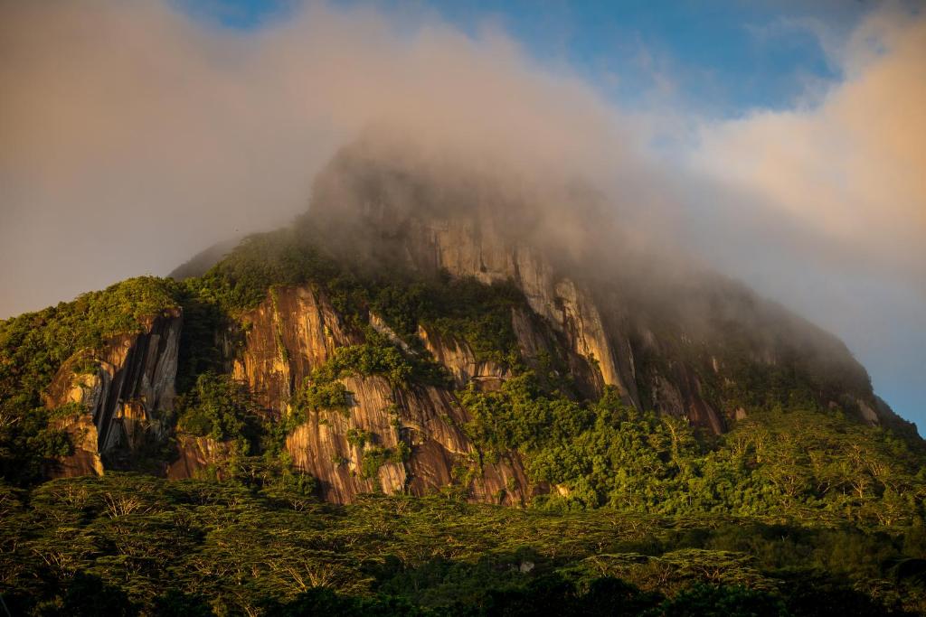Surrounding environment