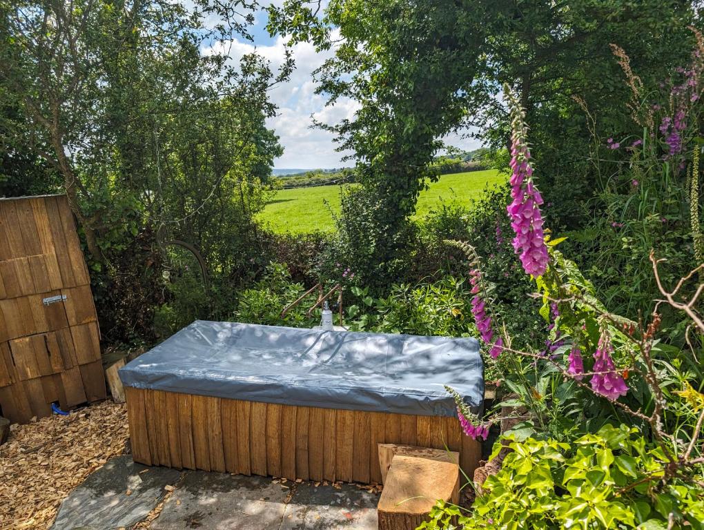 Dreckly Cabin - Lydcott Glamping, Looe photo 8