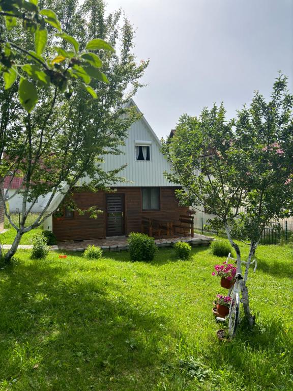 Holiday Home Ana - 4
