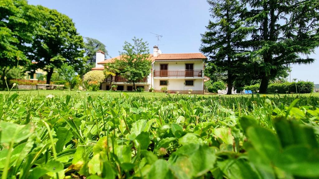 Villa Anna - 3