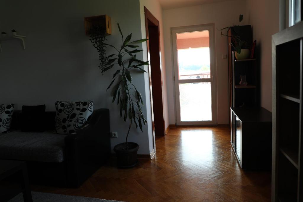 Lucic apartments - 2