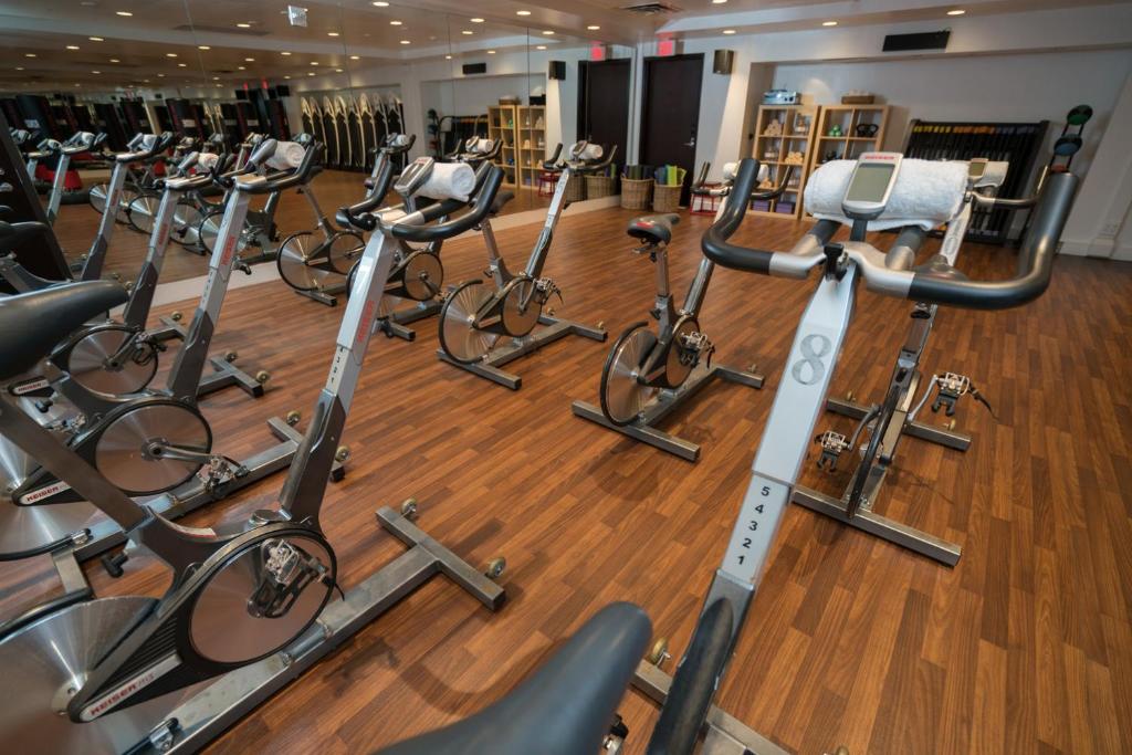 Palestra