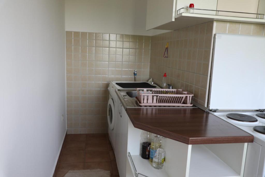 Lucic apartments - 5