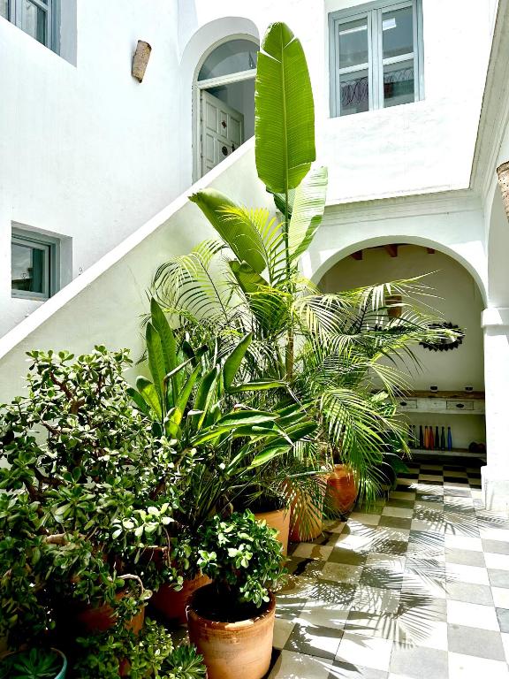 Spacious Private Vejer Patio Home - 1