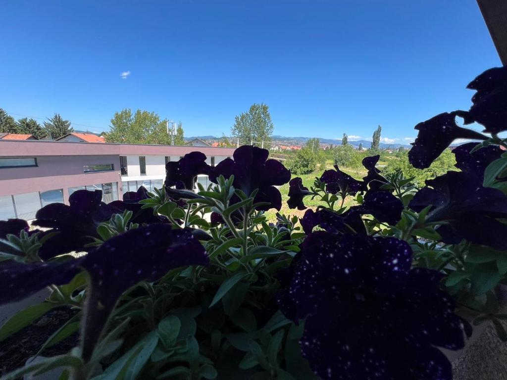 Ilidza Apartmant - 4