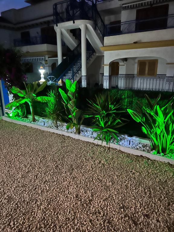 Acogedor apartamento en la playa vera - 4