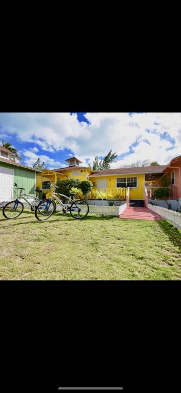 해변 액티비티 이미지 1