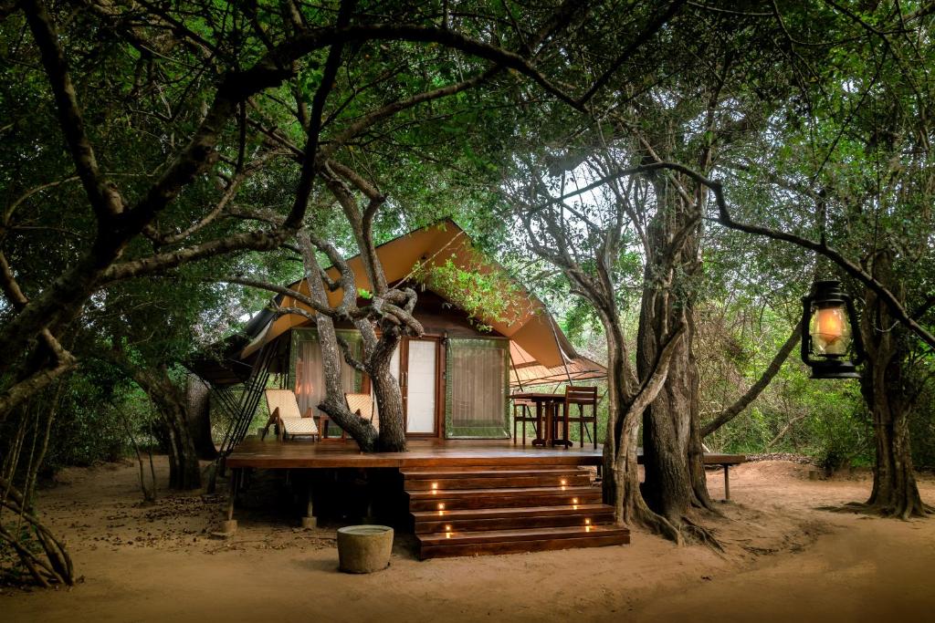 Leopard Reach Yala by Seven Angels, Tissamaharama