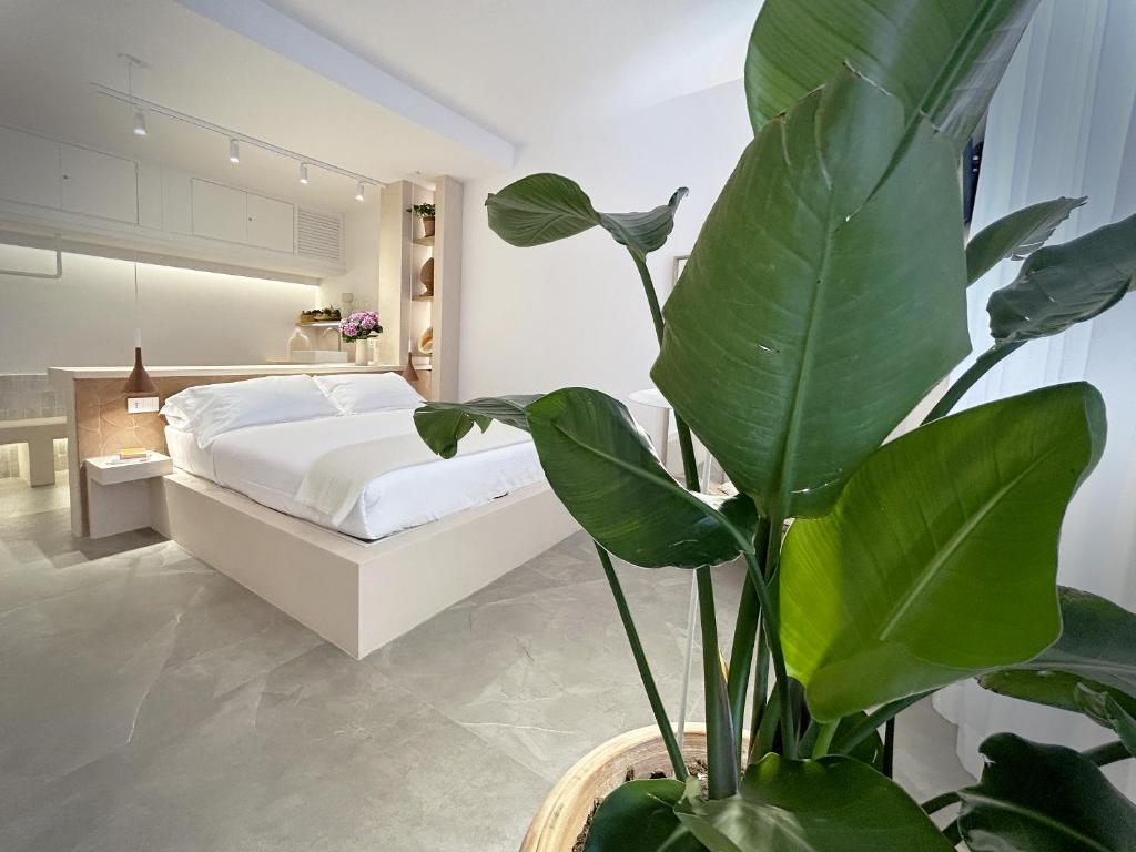 allegra suites - 3