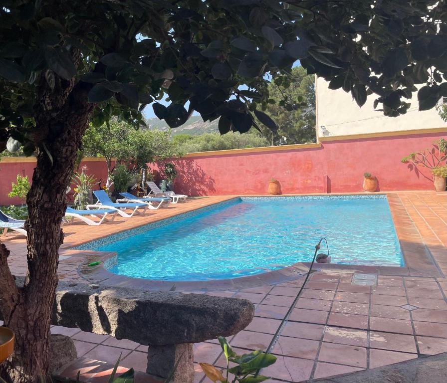 Résidence ANTONIA Appartements avec piscine commune - centre ville Calvi - 5