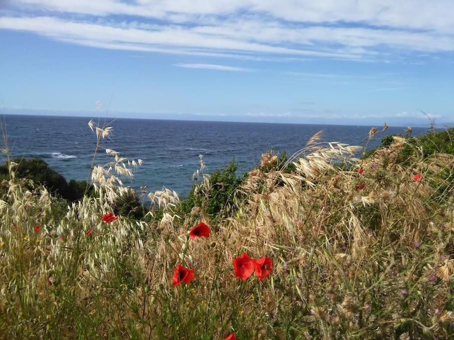 Monolocale with amazing sea view - 3