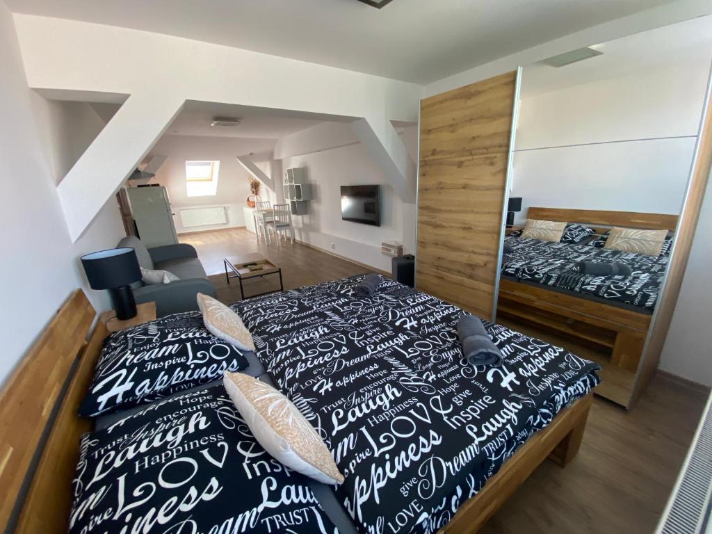 Černý Tulipán - apartmán 6, Plzeň