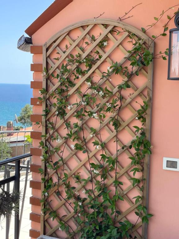 Casa Panorama - 5