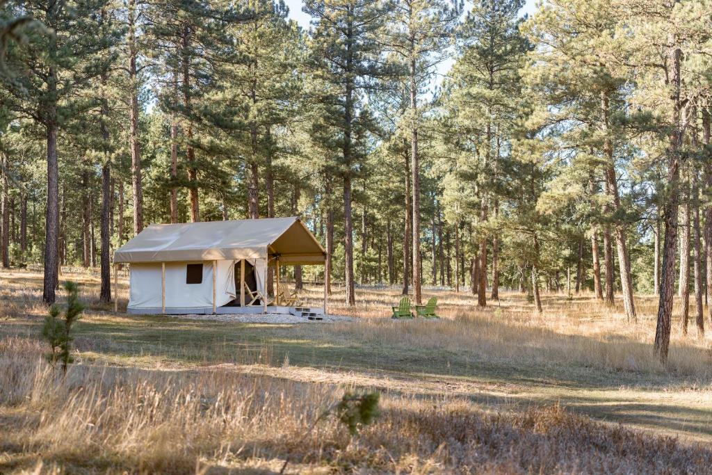 Buffalo Canvas Tent, Custer