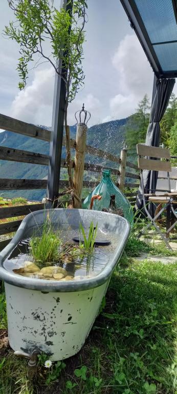 chalet naturel - 4