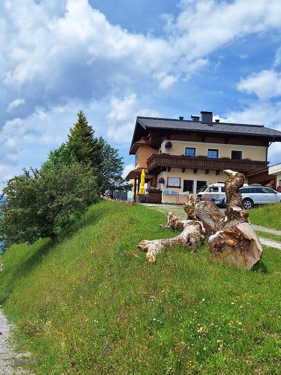 Sonnseit`n Hochmaisalm - 2