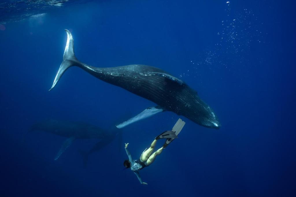 Programlehetőségek