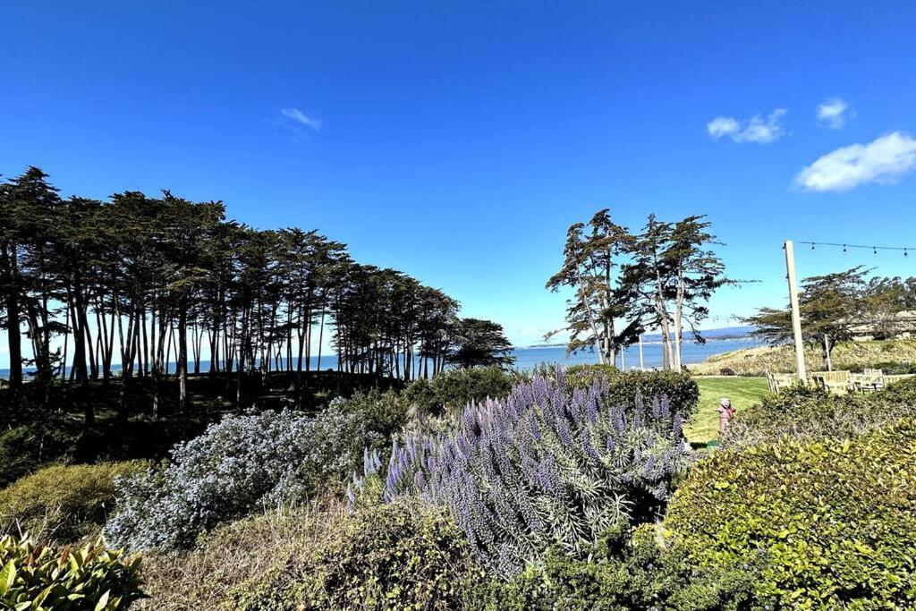 Condo in Seascape Beach Resort, Aptos