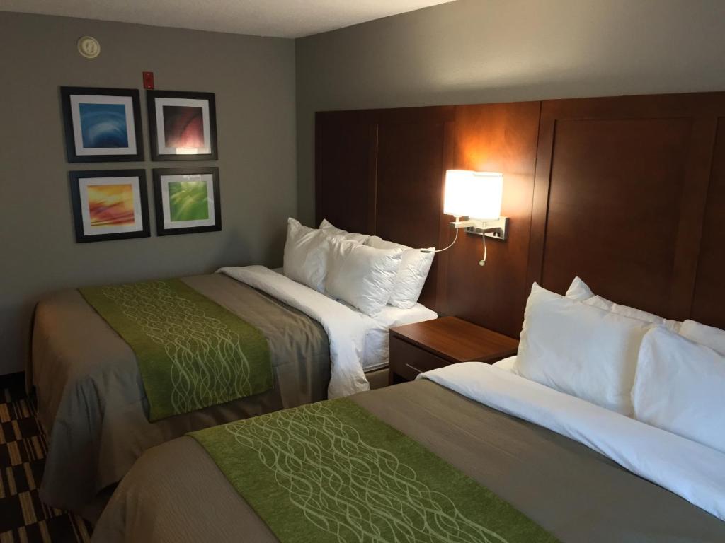 Quality Inn and Suites Ashland near Kings Dominion photo
