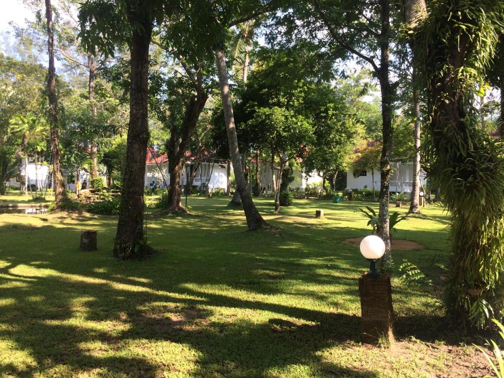 Surrounding environment