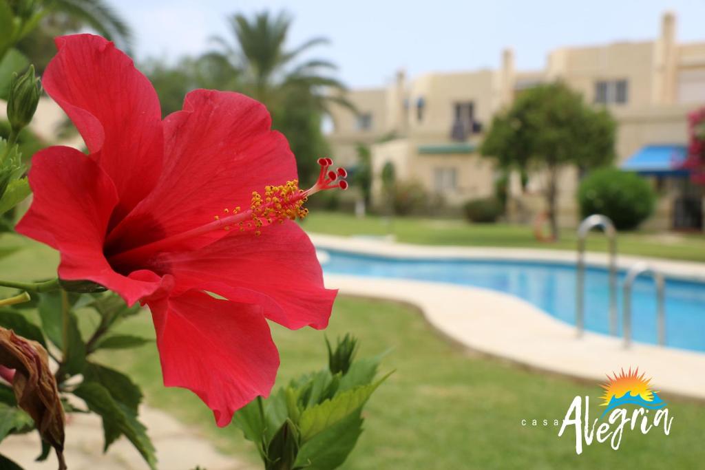 Casa Alegria Mojacar - 2