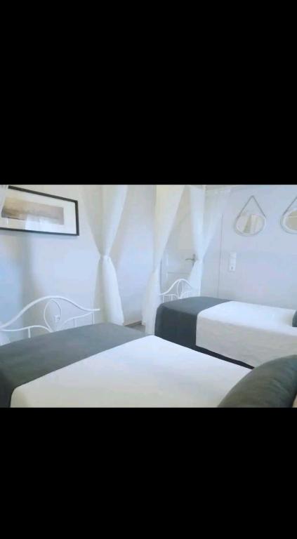 Gisnnis and Alma, Nausa