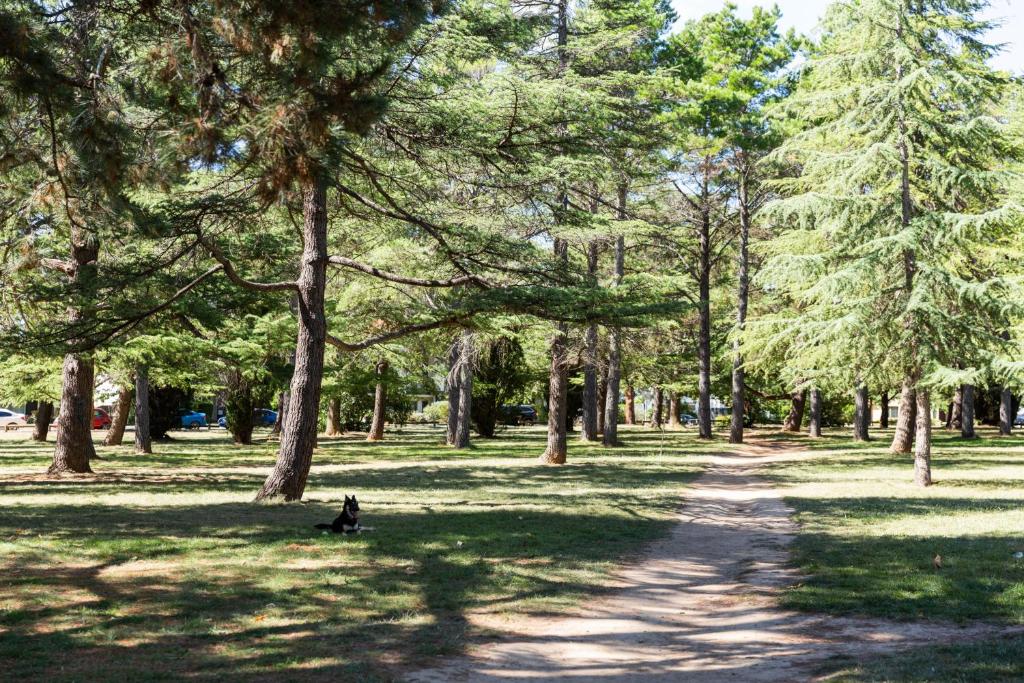 Unwind in Elegance: Your Perfect Braddon Apartment, Canberra