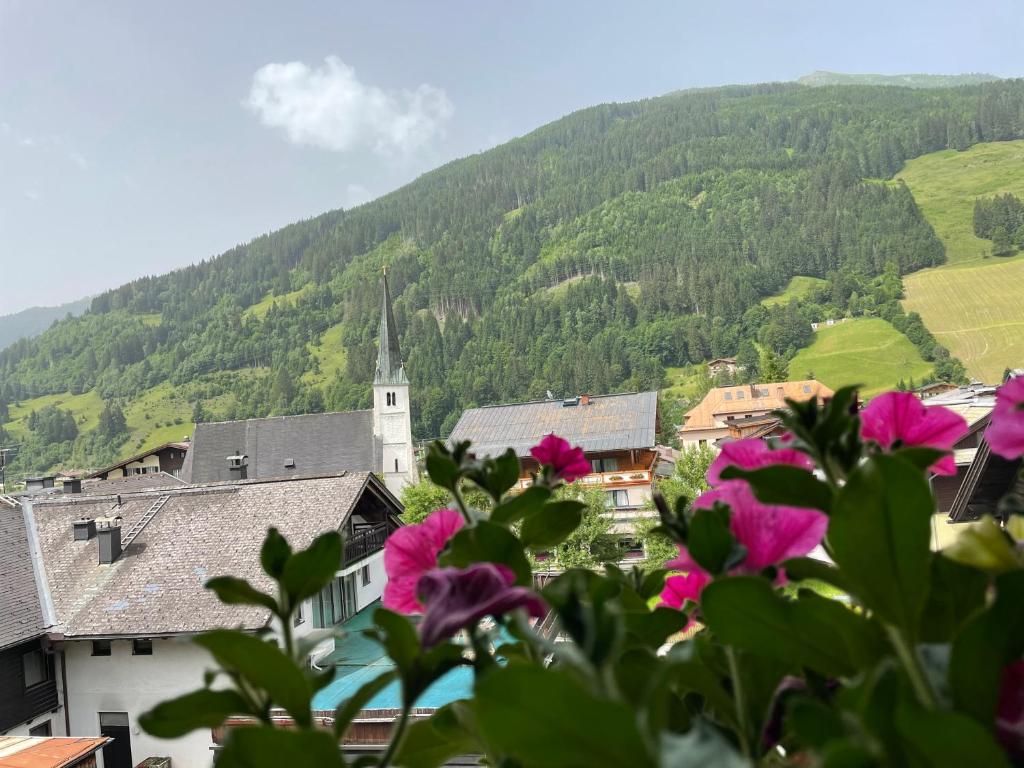 Wengerhof "Urlaub im Gasteinertal" - 2