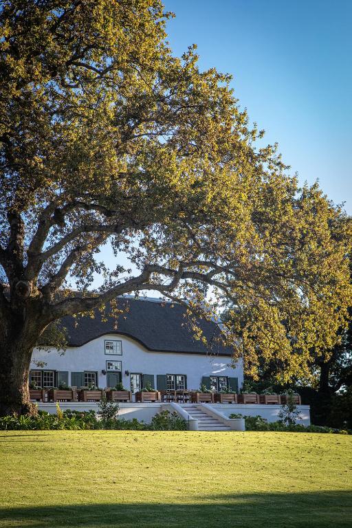 Taaibosch Collection, Stellenbosch