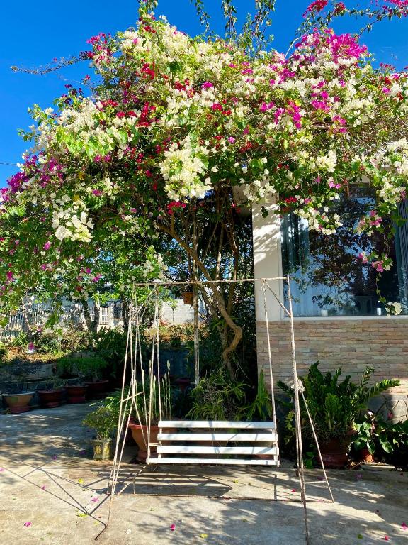 MA TOAN House - Bao Loc