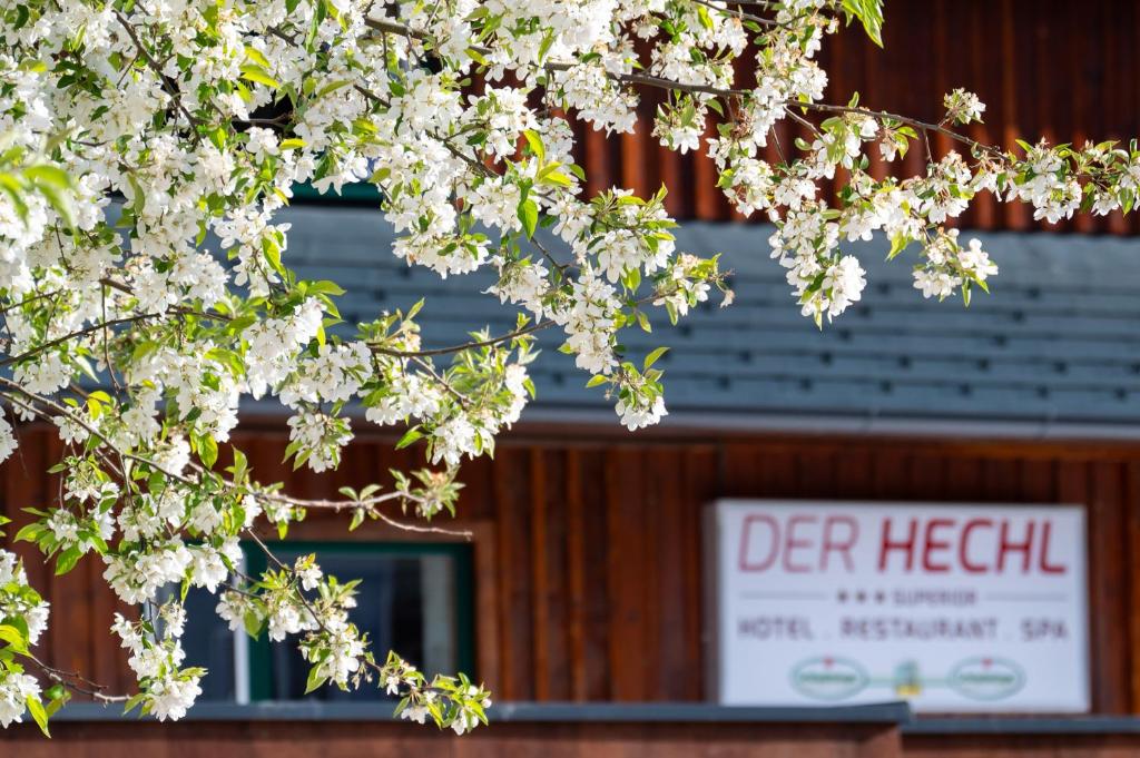 Der Hechl - 3
