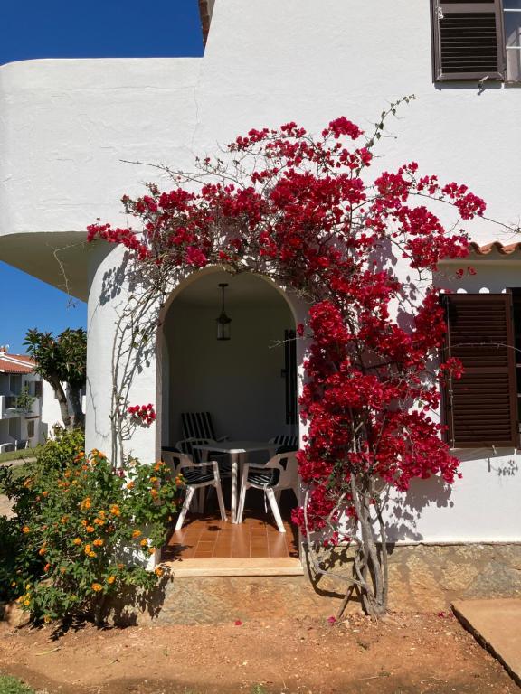 2 Bedroom Apartment, Son Bou, San Jamie,Menorca - 4
