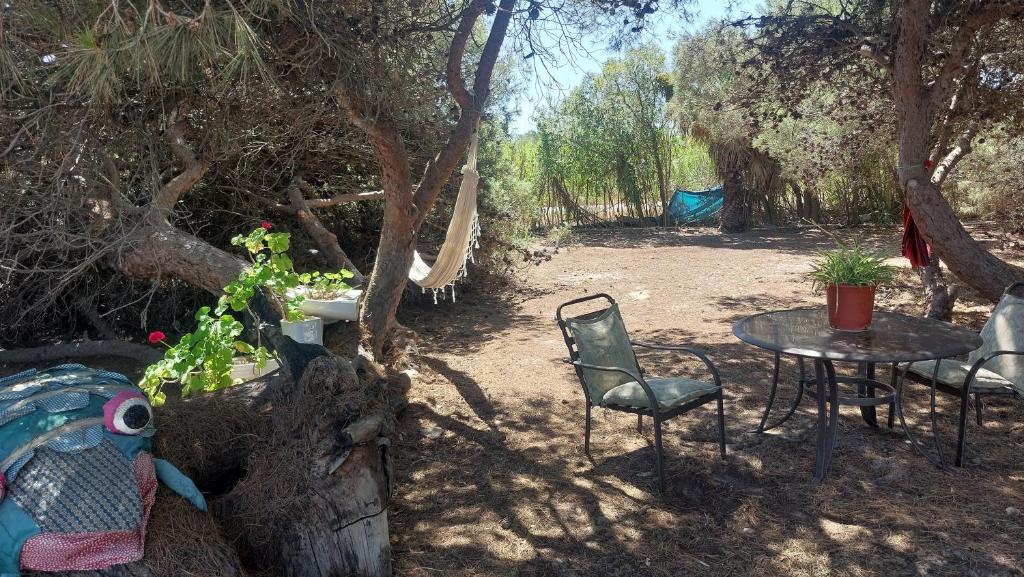 En Finca Las Dunas dos Chalets con jacuzzis en primera linea de playa , uno de 4 dormitorios y otro de 2 dormitorios, Llama al Seiscientos veintisiete Cuatrocientos diecisiete Trescientos noventa y ocho - 5