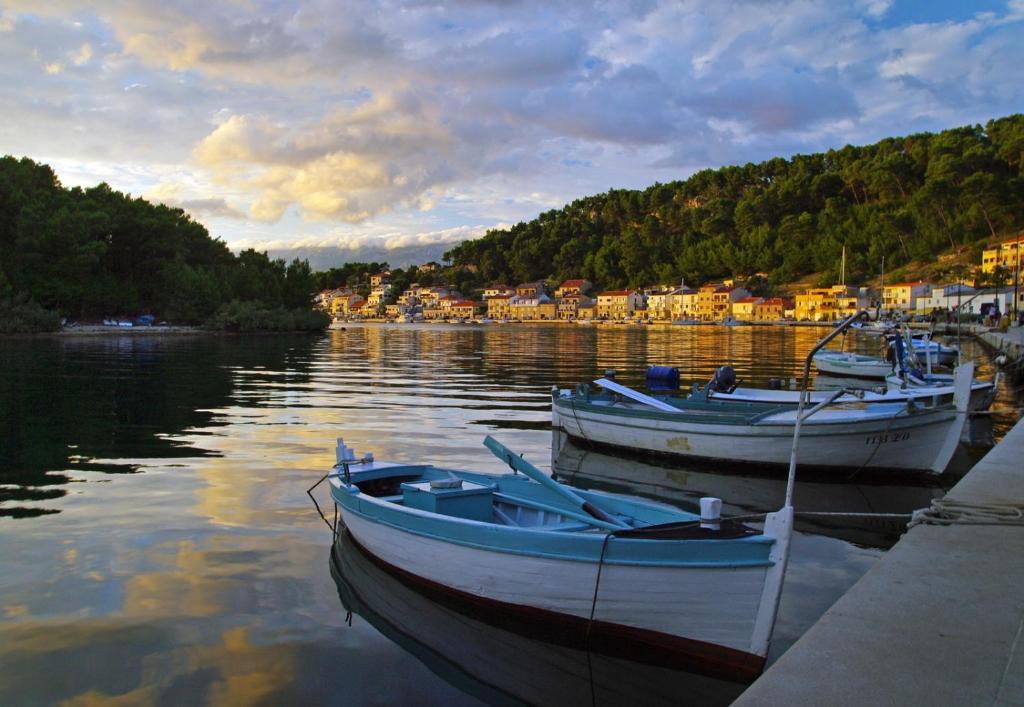 Studio Apartman Ivan, Novigrad Dalmatia