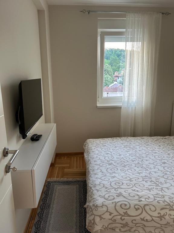 Apartmani CENTAR Vrnjacka Banja & Free Parking - 4