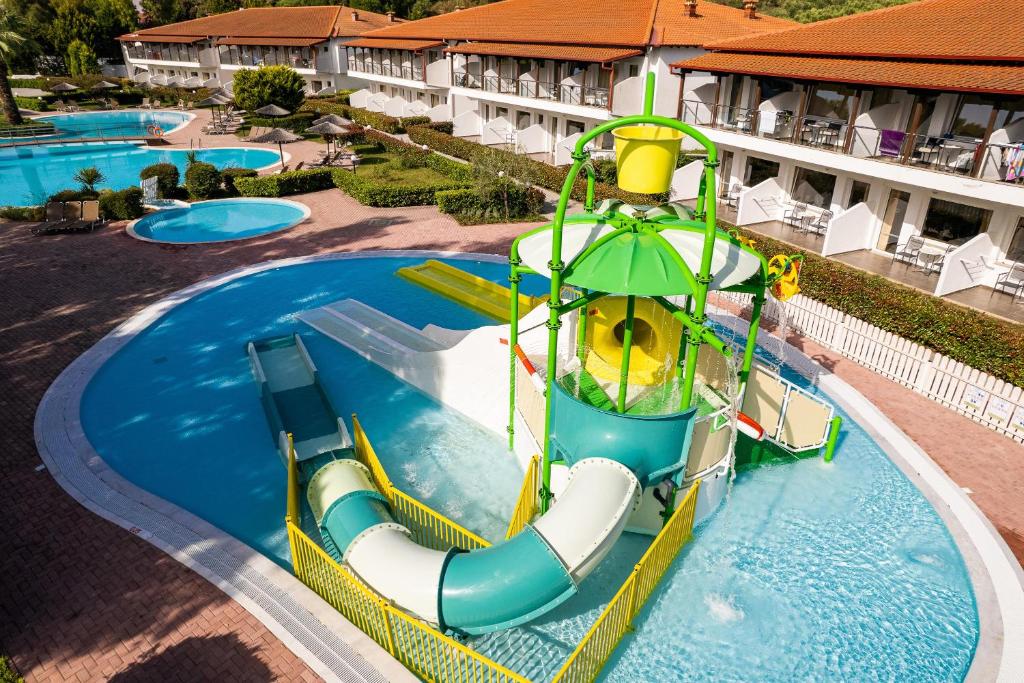 アクティビティ