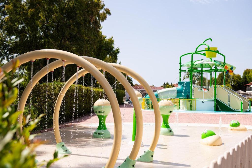 アクティビティ