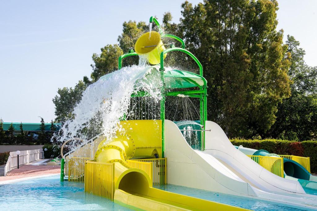 アクティビティ