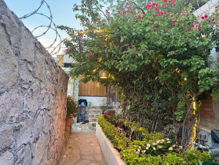 Casa del Alba - A Magical and Private Downtown Oasis! - 4