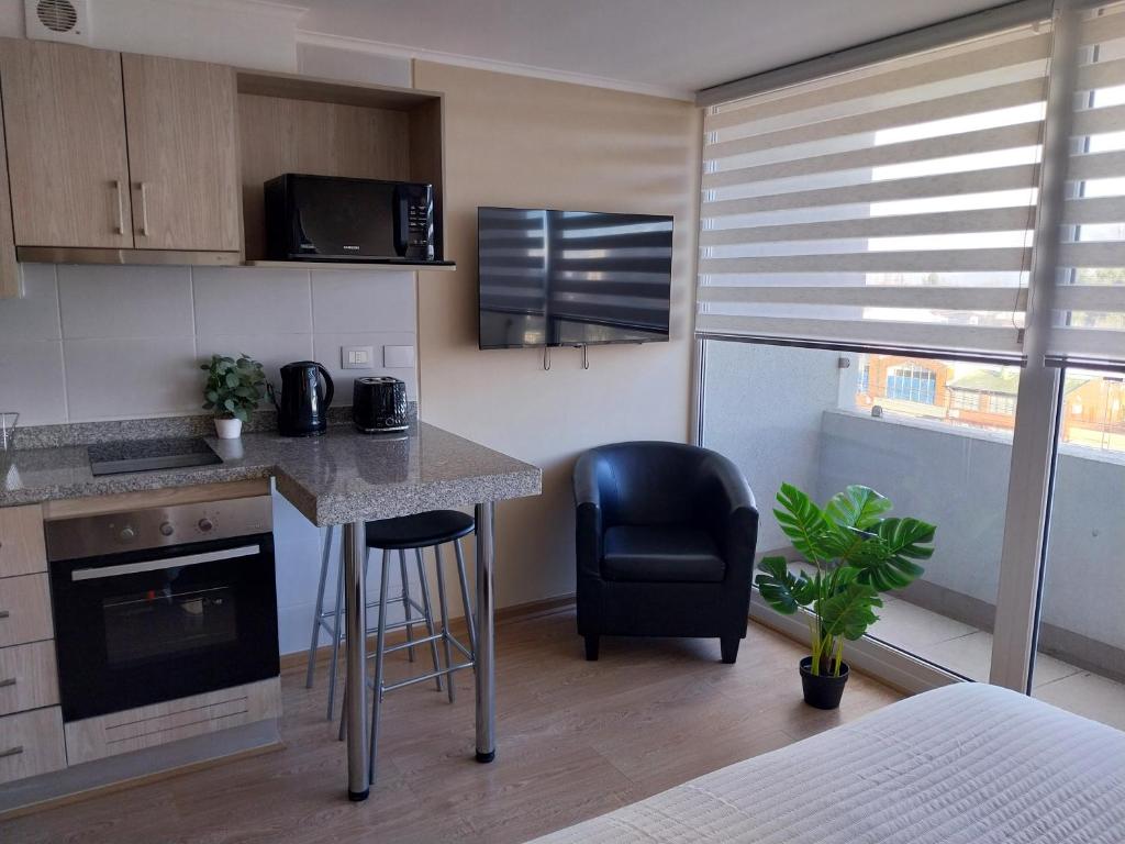 Depto studio chillan - 5