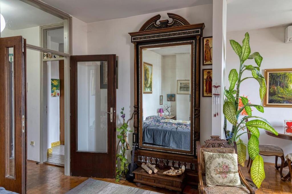 Central Belgrade Homelike Apartment - 1