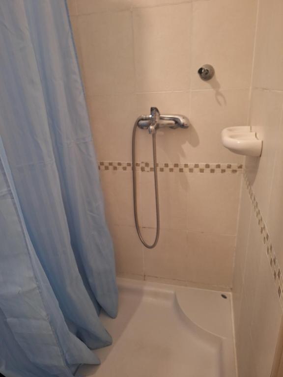 Studio Cvet Exit 2024, Novi Sad