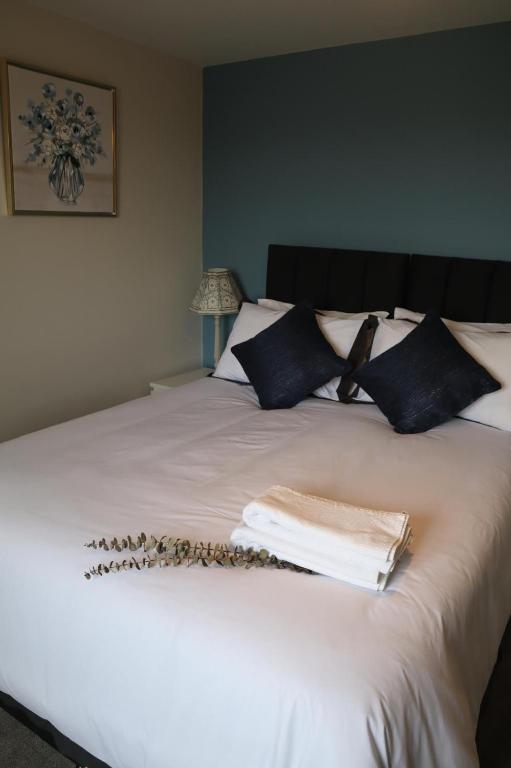 Swan Retreat, Taunton